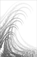 Fern 08